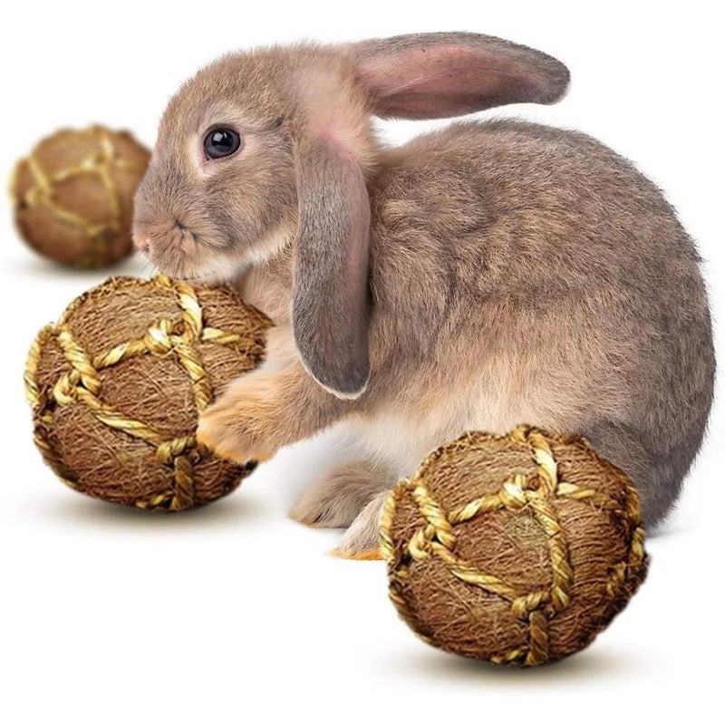SunGrow Guinea Pig Coconut Fiber Balls, Improves Oral Wellness, Environment Friendly, Stress Reliever, Ideal for Chew Item for Rabbits, Chinchilla & Kitten (3 Pieces) - Image 1